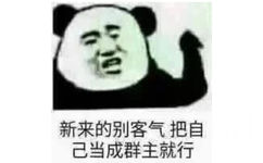 新来的别客气，把自己当成群主就行