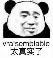 vraisemblable，太真实了