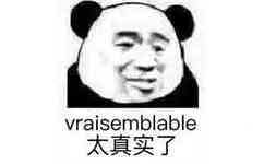 vraisemblable，太真实了