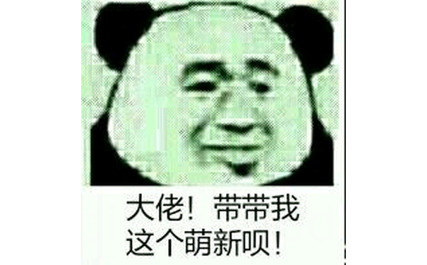 大佬！带带我这个萌新呗！