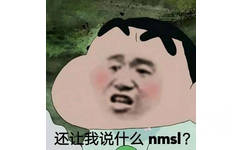 还让我说什么nmsl？