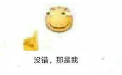 没错，那是我