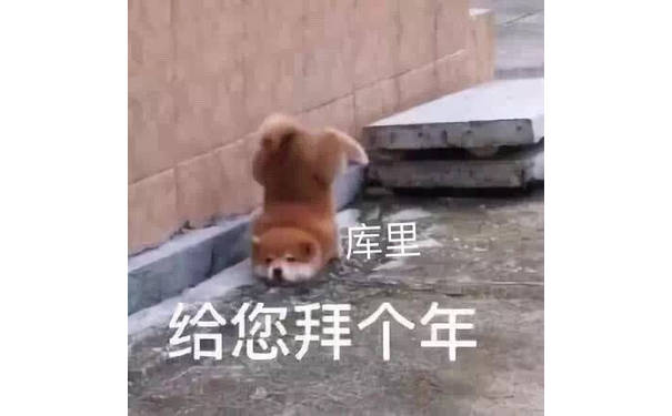 给您拜个年