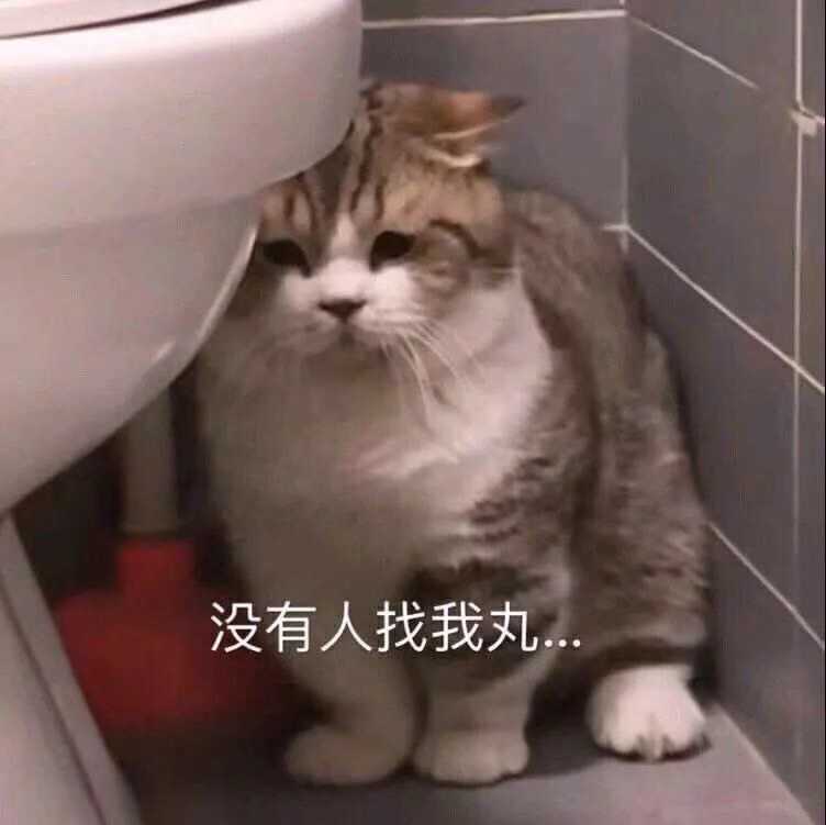 有人找我丸