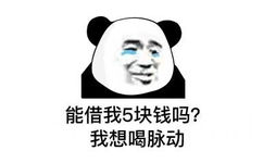 能借我5块钱吗？我想喝脉动