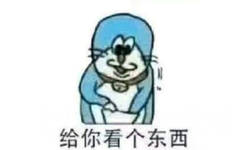 给你看个东西