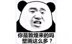 你是敦煌来的吗？壁画这么多？