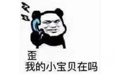 歪，我的小宝贝在吗