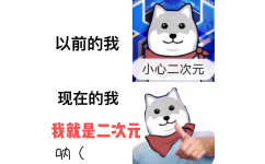 小心二次元，我就是二次元