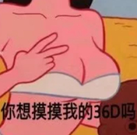 你想摸我的36D吗？