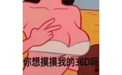 你想摸我的36D吗？