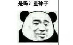 是吗？重孙子