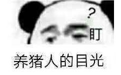 盯，养猪人的目光