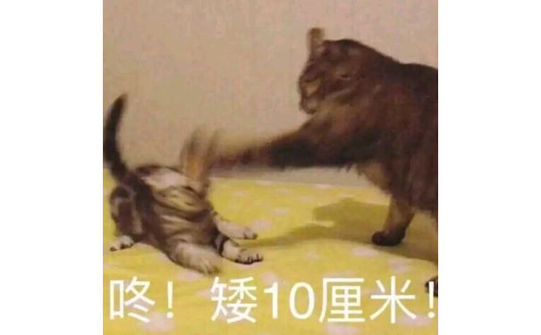 咚！矮10厘米