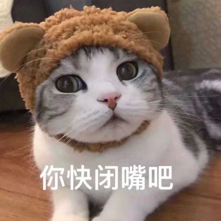 你快闭嘴吧