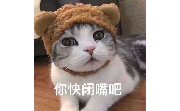 你快闭嘴吧