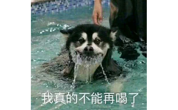 我真的不能再喝了