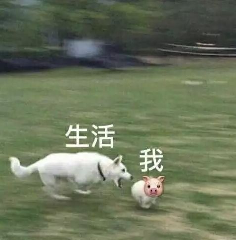 生活我