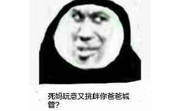 死妈玩意，又挑衅你爸爸城管？