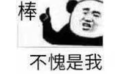 棒，不愧是我