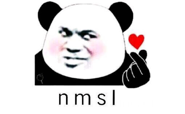 nmsl