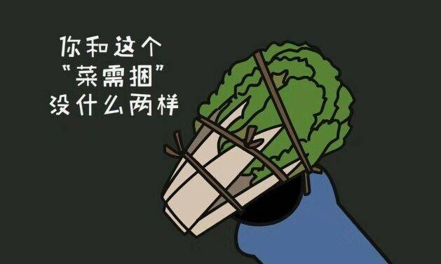 你和这个菜需捆没什么两样