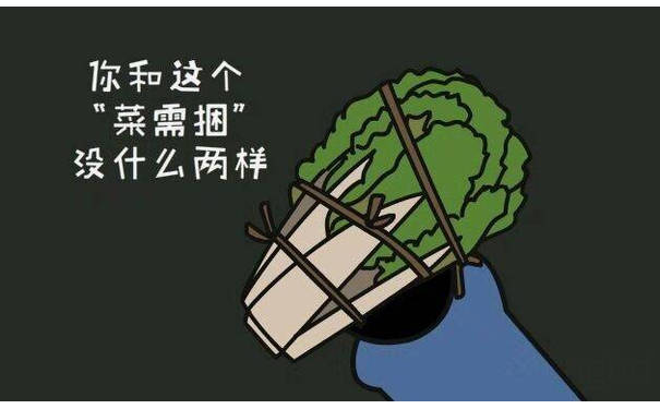 你和这个菜需捆没什么两样