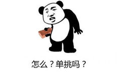 怎么？单挑吗？