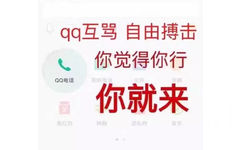 QQ互骂，自由搏击，你觉得你行，你就来