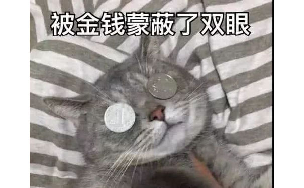 被釜钱蒙蔽了双眼