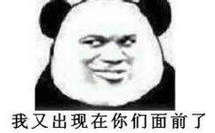 我又出现在你们面前了