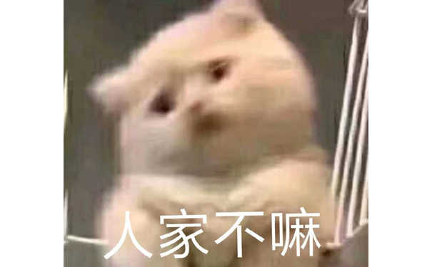 人家不嘛