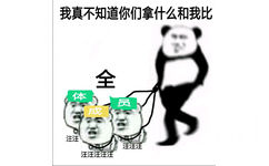 我真不知道你们拿什么和我比，全体本汪汪汪汪汪汪汪汪汪汪