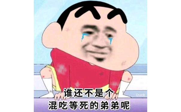 谁还不是个混吃等死的弟弟呢