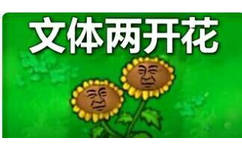 文体两开花