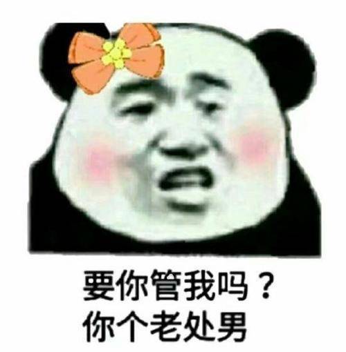 要你管我吗？你个老处男