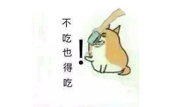 不吃也得吃