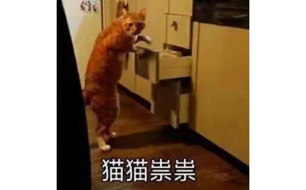 猫猫祟祟