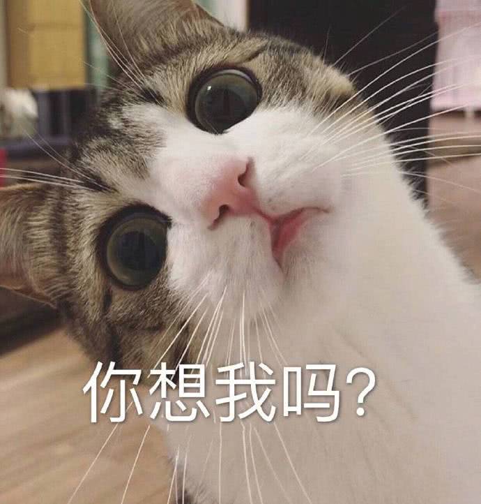 你想我吗？