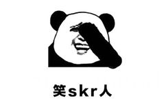 笑skr人