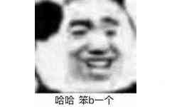 哈哈笨b一个