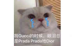 我Gucci的时候，眼泪总是 Prada Prada地Dior