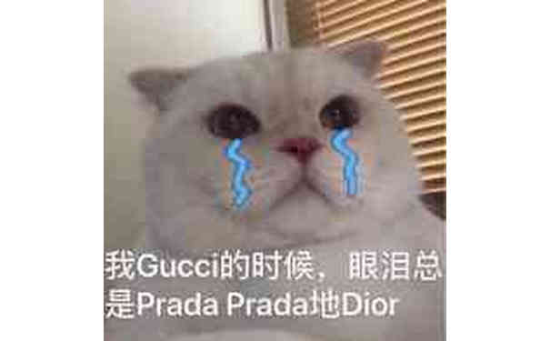 我Gucci的时候，眼泪总是 Prada Prada地Dior