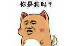 你是狗吗？