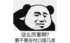 这么厉害啊？要不要在村口摆几桌