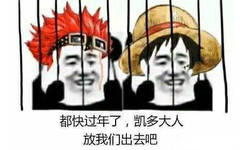 都快过年了，凯多大人放我们出去吧