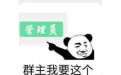 管员群主我要这个