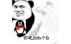 你玩nm个b