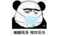 蝙蝠炖汤，棺材反光