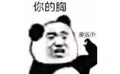 你的胸么小